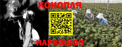 СК Пенза