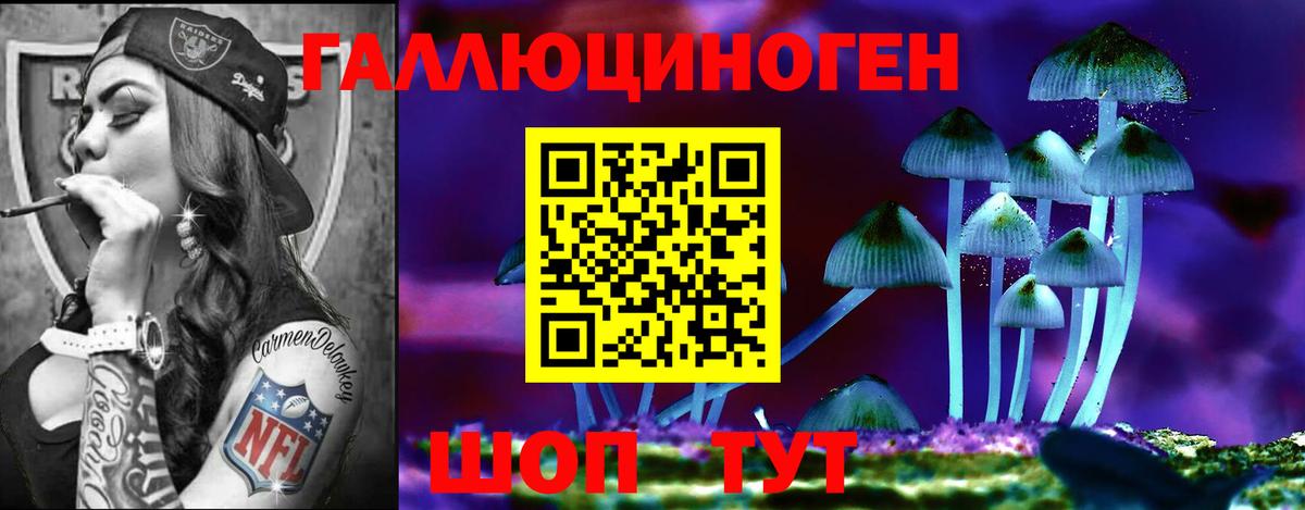 Галлюциногенные грибы MAGIC MUSHROOMS Дятьково