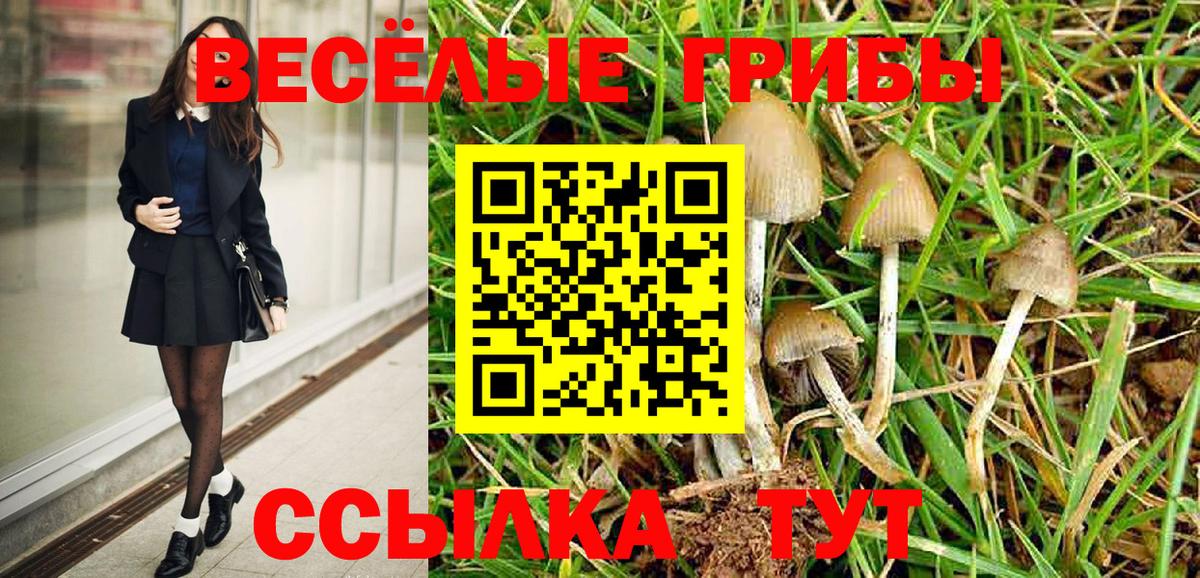 Галлюциногенные грибы Cubensis  Галлюциногенные грибы Cubensis  купить наркотики сайты  Вход с VPN  Дятьково 